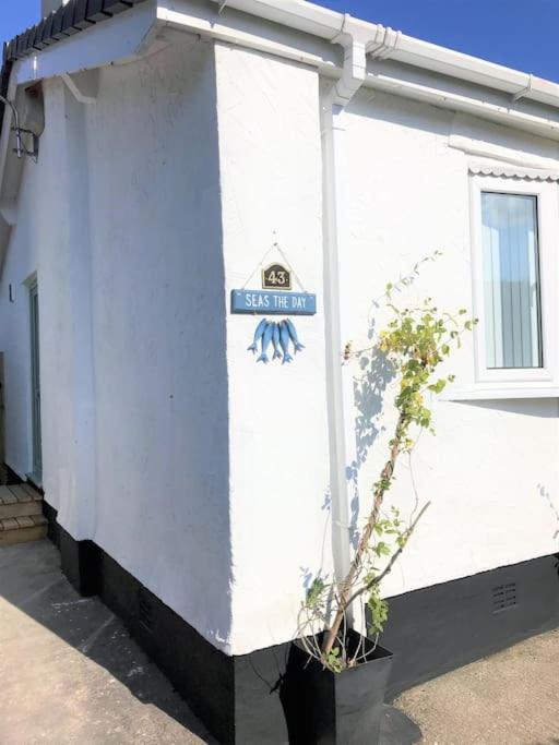 Perfect 4 Cpls & Families . Close To Everything Villa Pentraeth Bagian luar foto